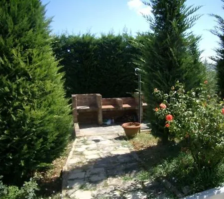 Adamo * Gambassi Terme