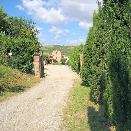 Adamo